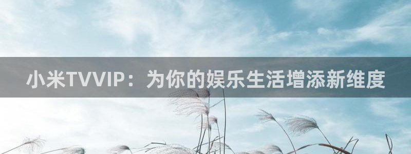 驰策影院2023：小米TVVIP：为你的娱乐生活增添新维度