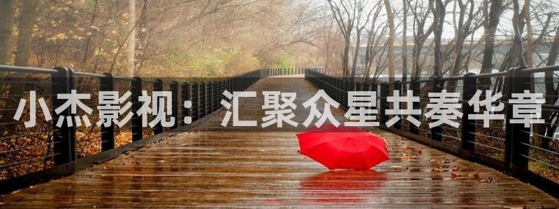 驰策电影影院播放：小杰影视：汇聚众星共奏华章
