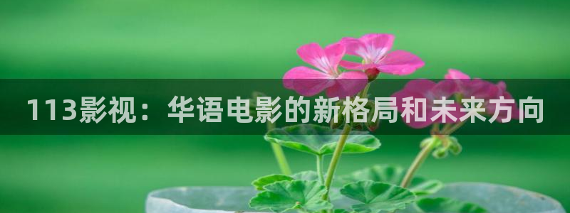 密逃第1季在线观看免费驰策影院：113影视：华语电影的新格局和未来方向