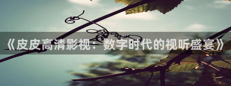 驰策影院在线电影：《皮皮高清影视：数字时代的视听盛宴》