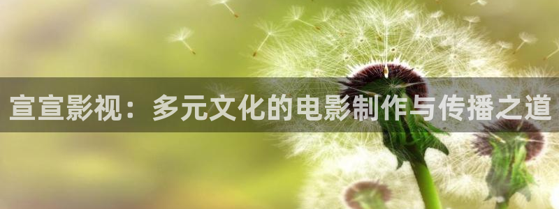 驰策驰影院在线观看免费：宣宣影视：多元文化的电影制作与传播之道