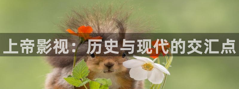 驰策电影：上帝影视：历史与现代的交汇点