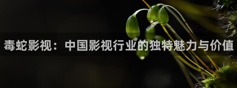 驰策驰影院在线观看免费：毒蛇影视：中国影视行业的独特魅力与价值