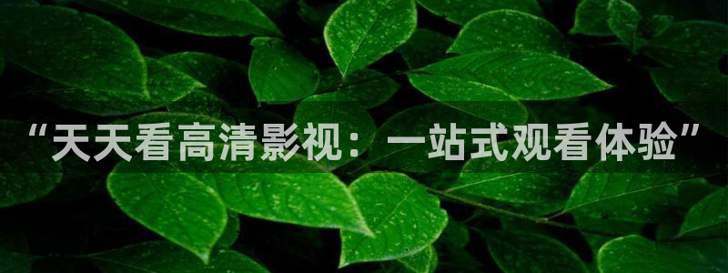 驰策驰影院红桃国际：“天天看高清影视：一站式观看体验”