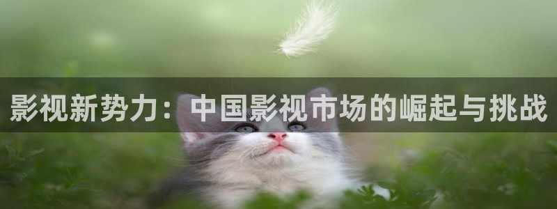 驰策影院在线电影：影视新势力：中国影视市场的崛起与挑战